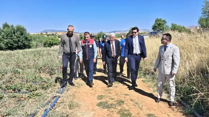 konyada-tarladan-altin-fiskiriyor