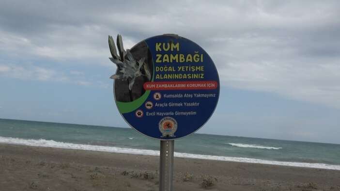 kum-zambaklari-acti-koparmanin-cezasi-dudak-ucuklatti
