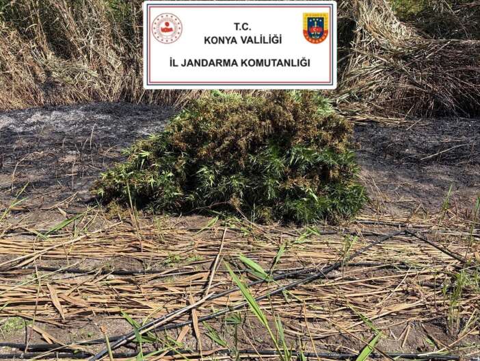 konyada-uyusturucuya-agustos-darbesi-59-operasyon-66-supheli