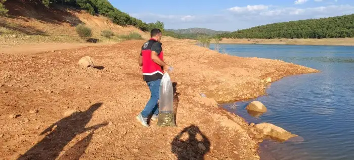 konyanin-denizine-60-bin-yeni-sakin-birakildi