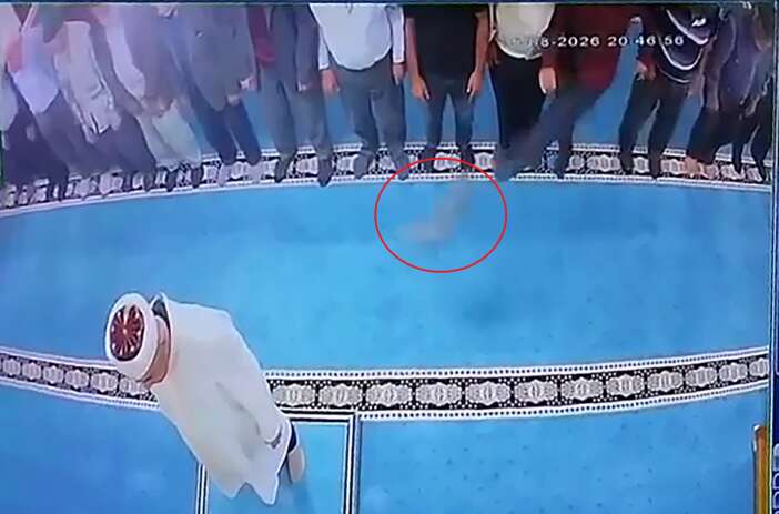 camide-inanilmaz-anlar-namazda-kediye-tekme-atti
