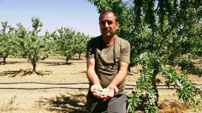 hobi-diye-basladi-20-bin-agaca-ulasti-bu-yil-10-ton-urun-bekliyor