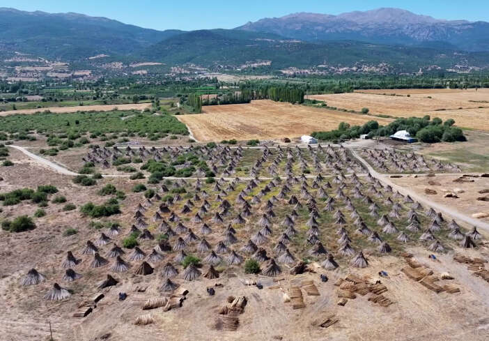 konyanin-golunde-yetisiyor-avrupaya-ucuyor-400-kisiye-gelir-kapisi