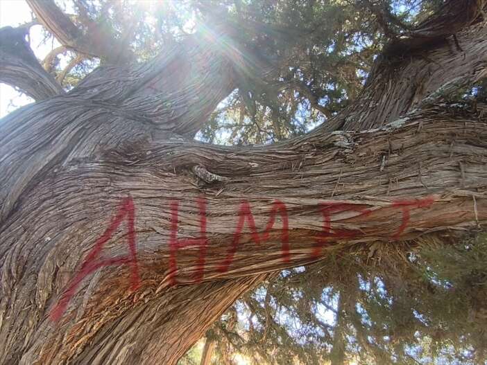 haber-dairesi-gundeme-getirdi-konyadaki-anit-ardica-yapilanlar-cezasiz-kalmayacak