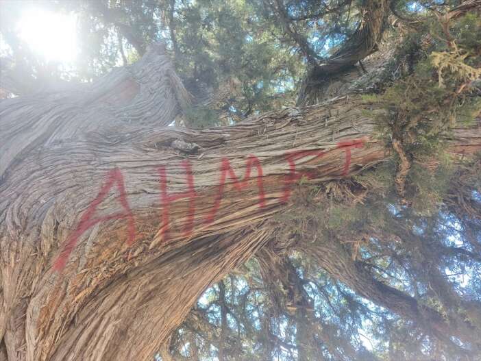 haber-dairesi-gundeme-getirdi-konyadaki-anit-ardica-yapilanlar-cezasiz-kalmayacak