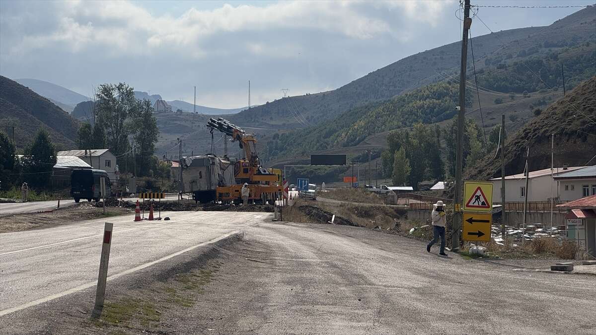 ari-kovani-tasiyan-tir-5-metrelik-cukura-devrildi-yol-arilarla-doldu