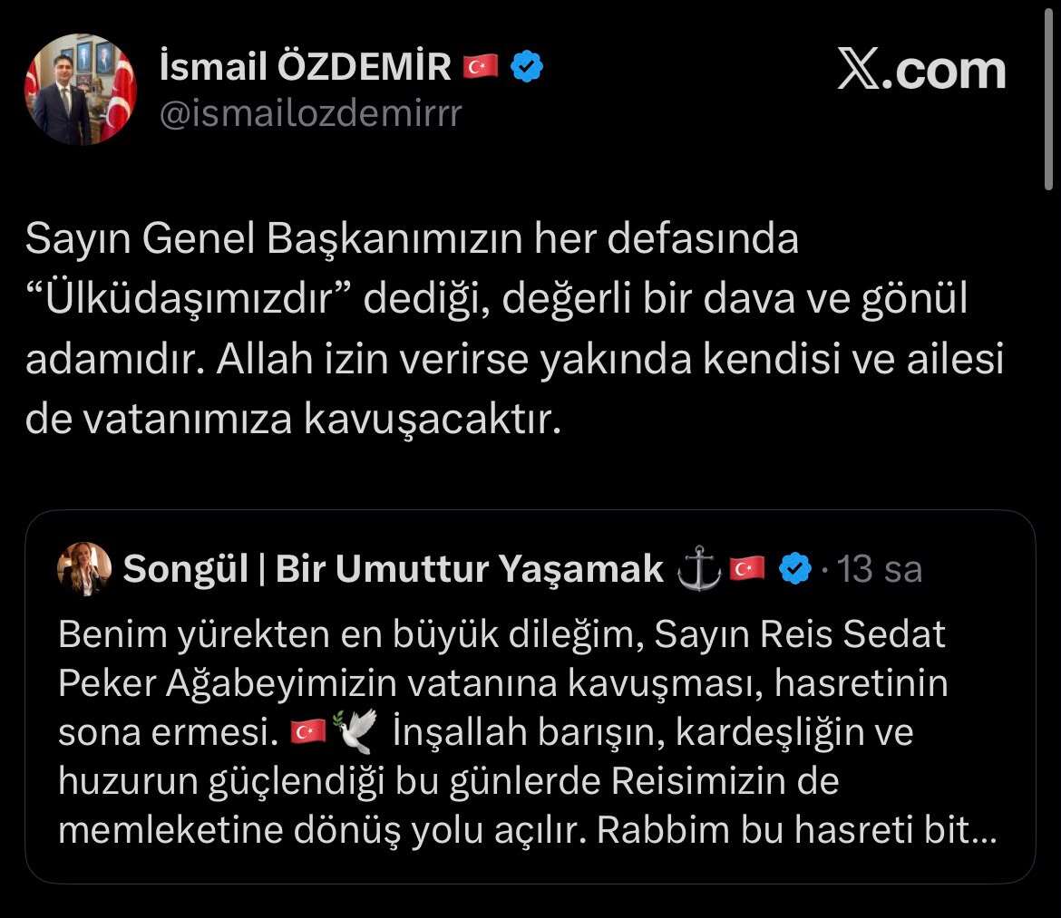 sedat-peker-turkiyeye-donuyor-mu