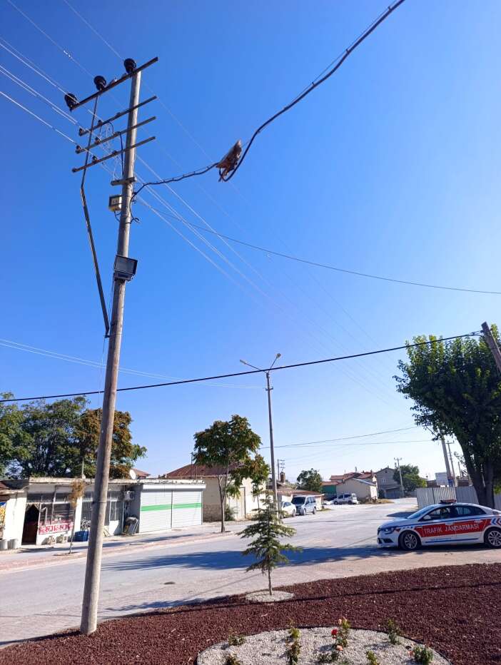 yer-konya-ne-agaci-ne-de-teli-kurtarabildiler-geriye-bu-goruntu-kaldi