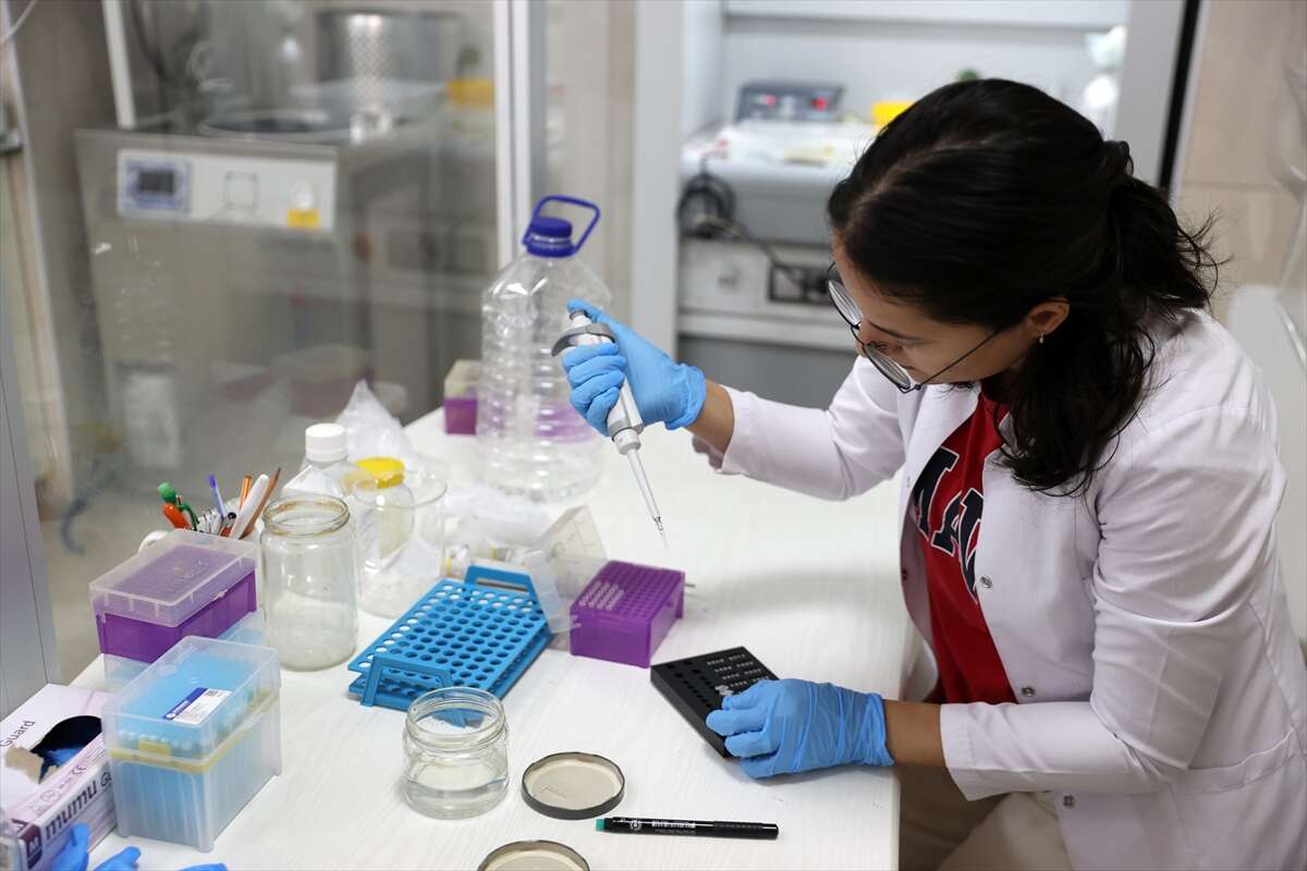 meke-golunun-sirri-laboratuvarda-saklaniyor-eksi-80-derecede-koruyorlar