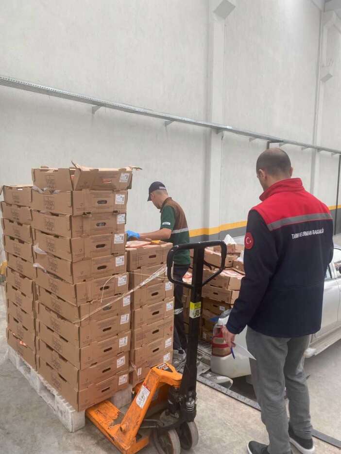 konyada-baskin-yapilan-is-yerinden-7-bin-kilo-bozuk-tavuk-eti-cikti
