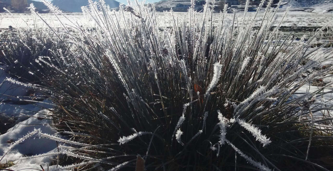 konyada-kis-erken-kapiyi-caldi-3-ilcede-sicaklik-sifirin-altinda