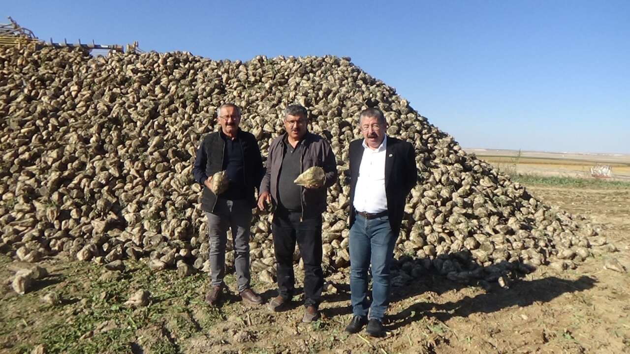 konyada-ciftciler-pancar-fiyatindan-memnun-degil