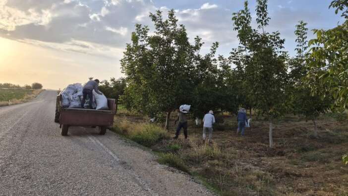 konyanin-ceviz-uretim-merkezinde-hasat-zamani-urun-bol-cepler-dolacak