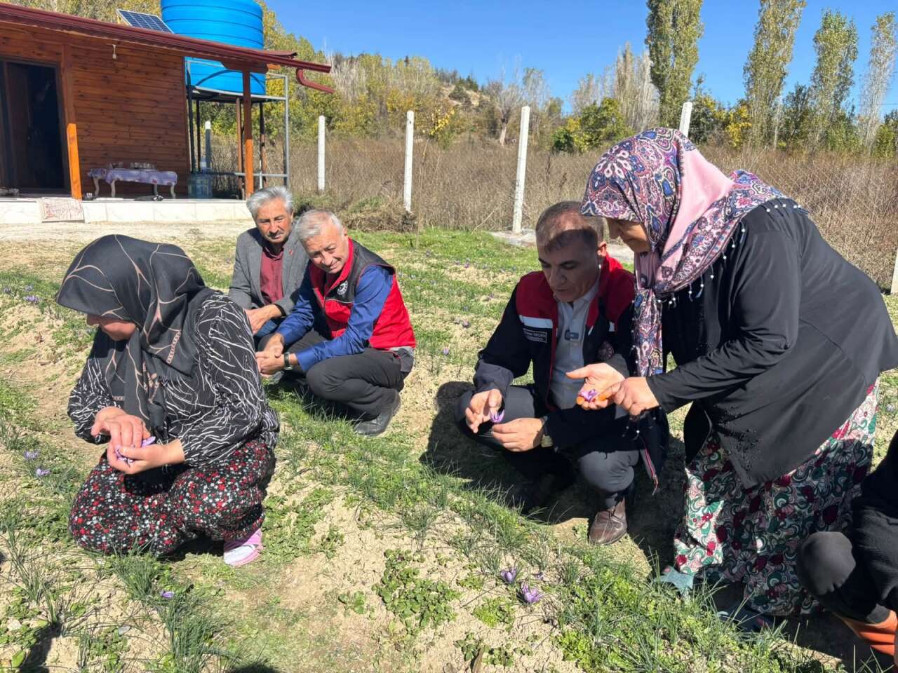dunyanin-en-pahalisi-konyada-kirmizi-altin-uretimi-yayiliyor