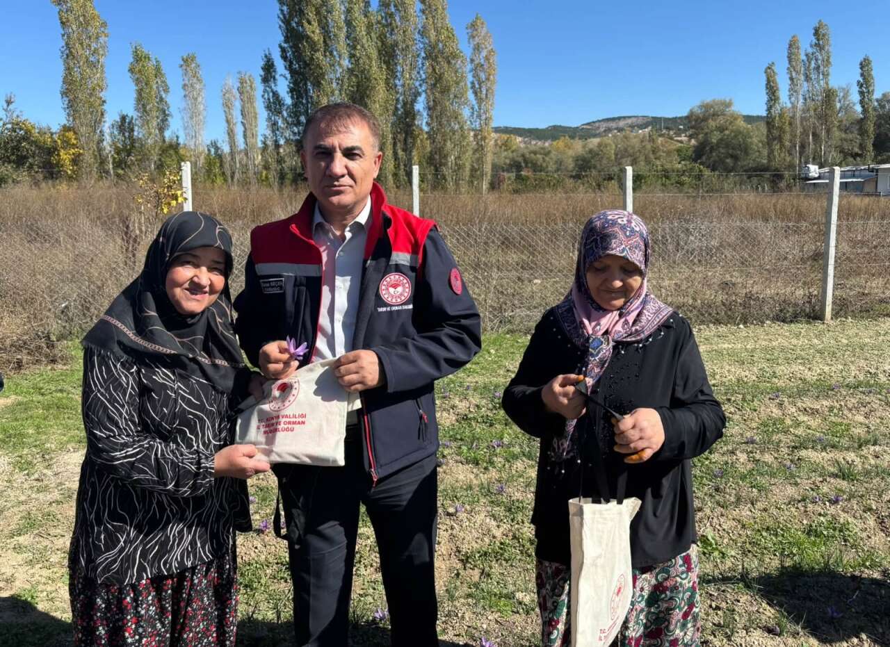 dunyanin-en-pahalisi-konyada-kirmizi-altin-uretimi-yayiliyor