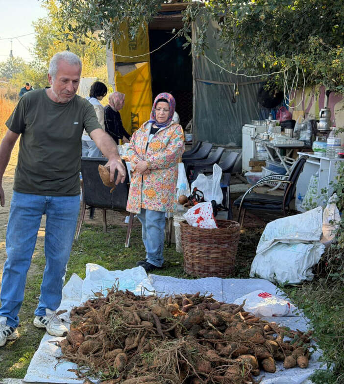 konyada-ilk-kez-yetistirildi-4-farkli-renkte-hasat-edildi