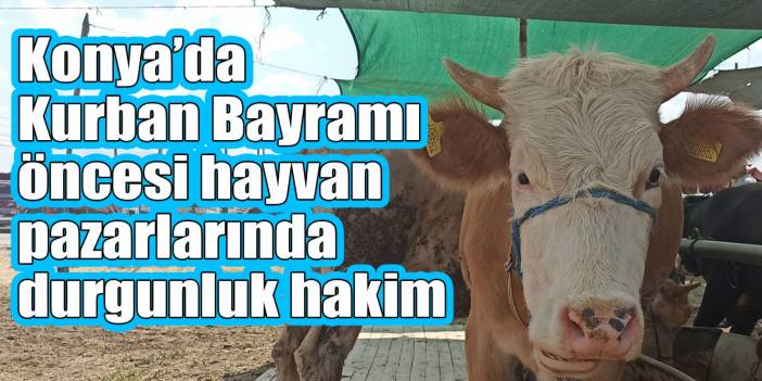 Konya’da Kurban Bayramı öncesi hayvan pazarlarında durgunluk hakim
