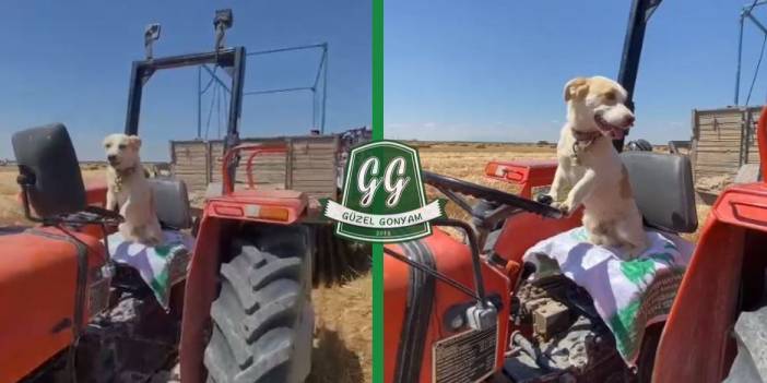 Konyalı çiftçinin bu görüntüsü sosyal medyada gündem oldu