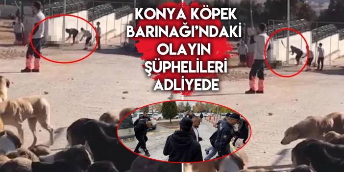 Konya hayvan barınağındaki olayın şüphelileri adliyede