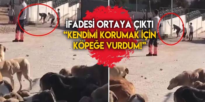 Konya Hayvan Barınağındaki olayda şüpheliler ne ifade verdi?